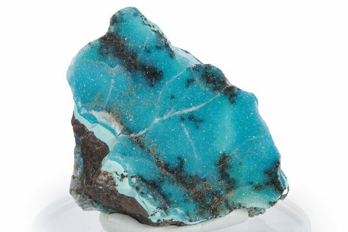Brilliant Teal Botryoidal Chrysocolla - DR Congo #347492